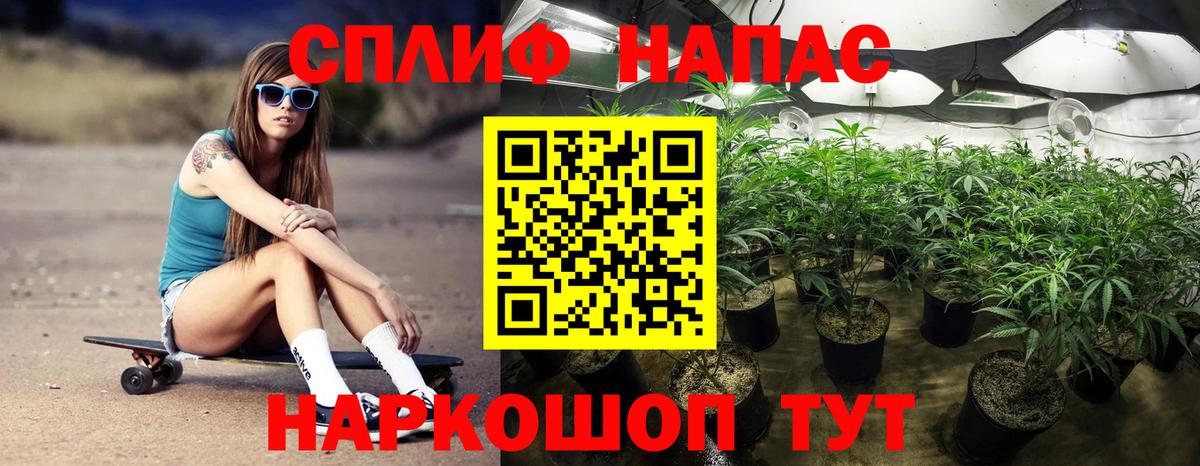 Шишки марихуана марихуана Анжеро-Судженск